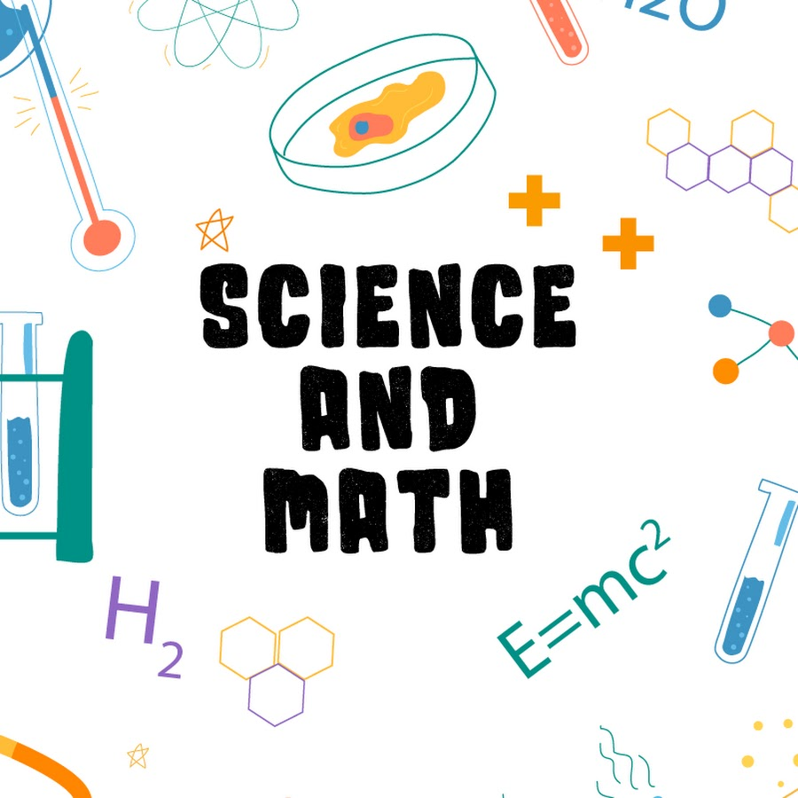 Curriculum Image